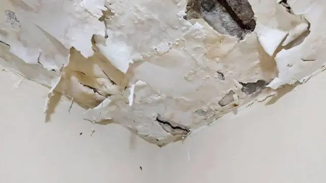 Ceiling with peeling paint and plaster damage from a leak