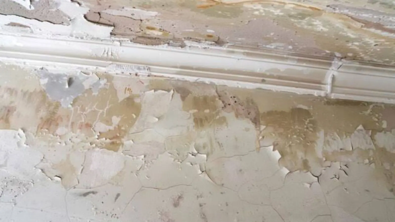 Wall with peeling paint and water staining along the baseboard